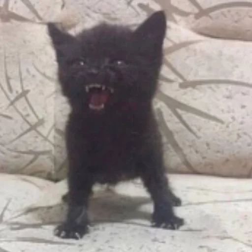 Стикер Чисто два стикера для гомункула - 3