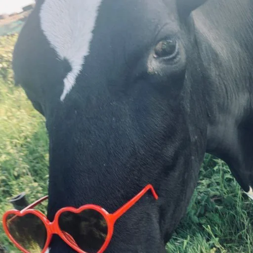 Стикер Чисто два стикера для гомункула - 0