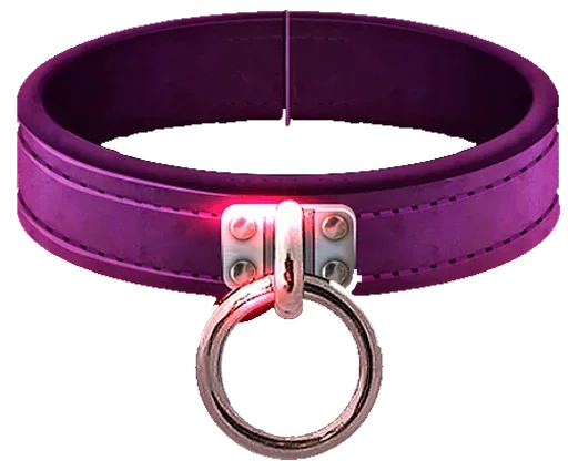 fashion accessory belt belt buckle