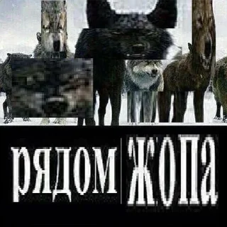 Стикер От модеров для @alisherhateu - 10
