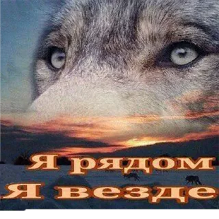 Стикер От модеров для @alisherhateu - 4