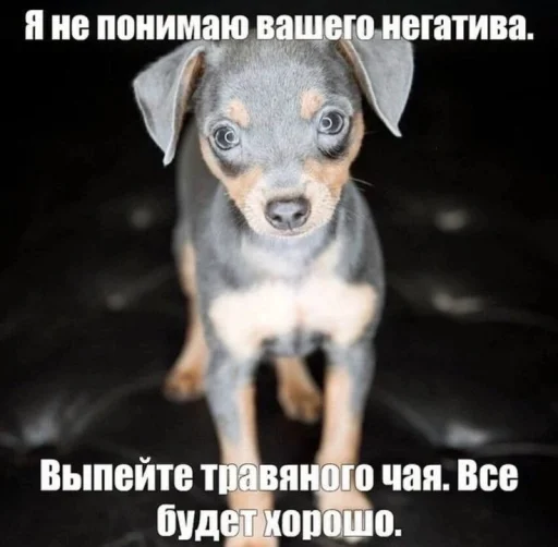 Sticker ForRabbits - 1