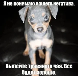 Стикер для заек - 9