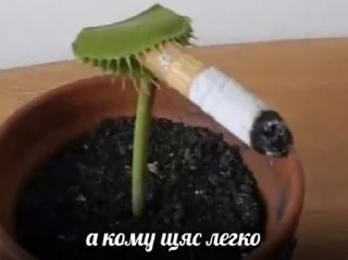 Sticker Очень серьёзно - 6