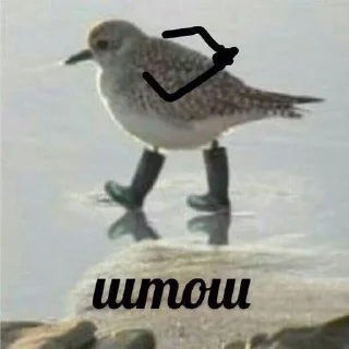 Sticker Очень серьёзно - 11