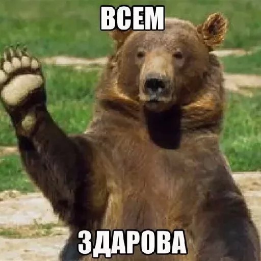 К любому чату (@vsya_telega_zdes) - СМС