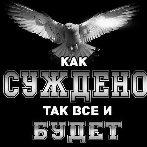 СМС животное птица