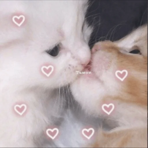 Sticker For_the_beloved_MBN - 1