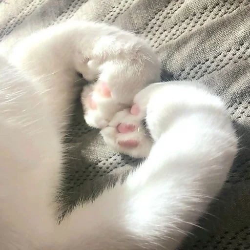 Стикер For_the_beloved_MBN - 1