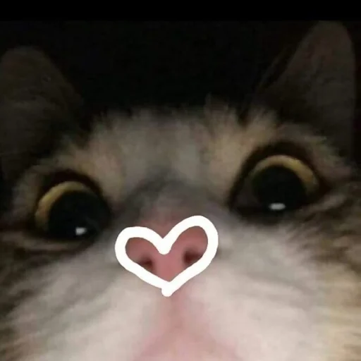 Sticker For_the_beloved_MBN - 1