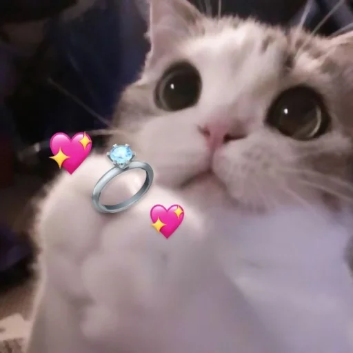 Sticker For_the_beloved_MBN - 1