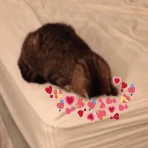 Sticker For_the_beloved_MBN - 1