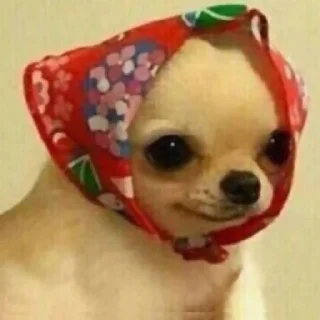 Sticker For the BeloVeD<3 - 5