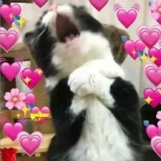 Sticker For the BeloVeD<3 - 7