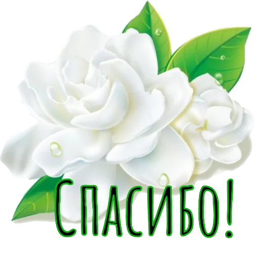 Sticker For_you_from_me1 - 1