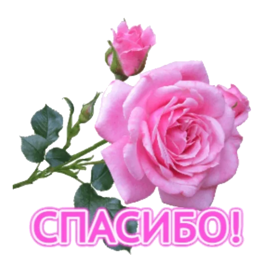 Стикер For_you_from_me1 - 1