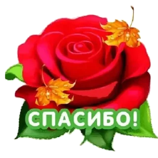 Sticker Набор стикеров № 2 от Насти Н. - 9