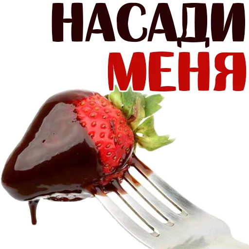 fruit strawberry text