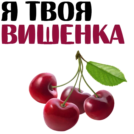 text fruit cherry