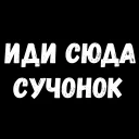 СМС кошки малого и среднего размера кошачьи