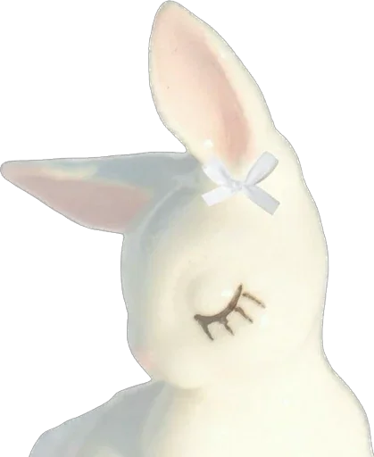 кролик кролики и зайцы домашний кролик