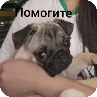 Стикер Клоуны - 0