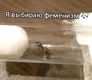 Sticker Чертята от @BlackKowka - 11