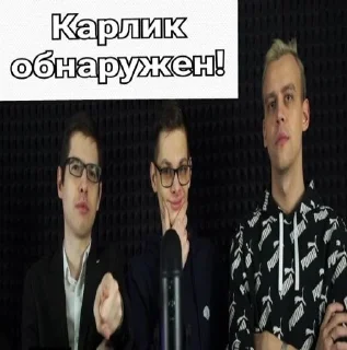 Стикер Формула Для Всех/ ФДВ/ Шизы - 4