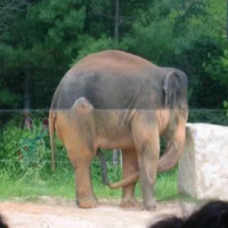 Sticker @Zolotova_Alisa - 9