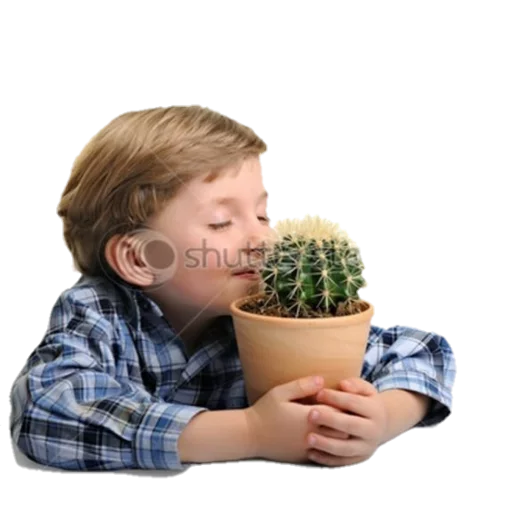 person flowerpot houseplant