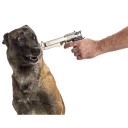 Ебучий фотосток - person