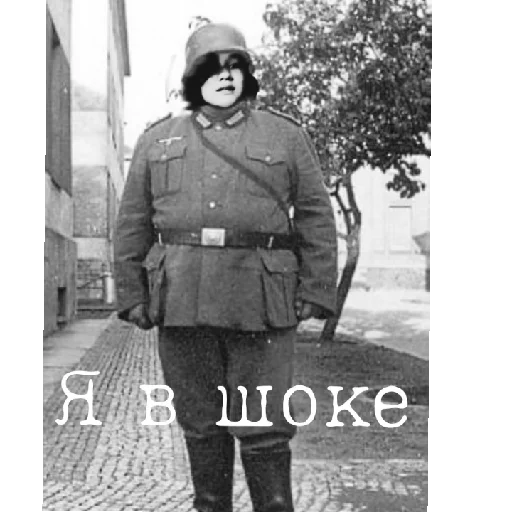 Sticker FoxHitler - 1