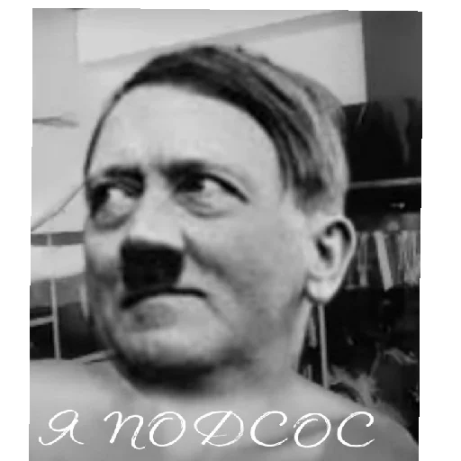 Sticker FoxHitler - 1