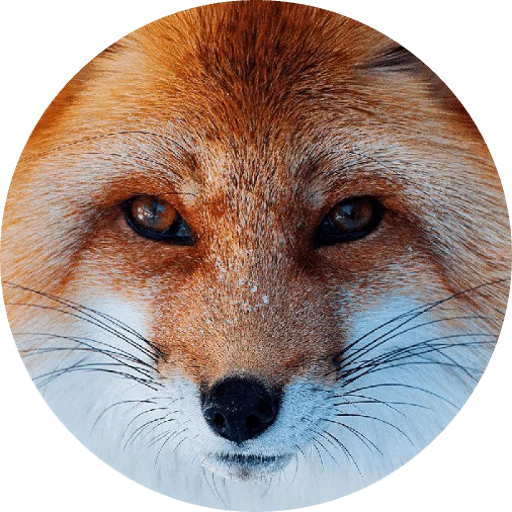 Sticker Foxes - 11
