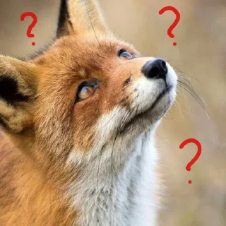 Sticker Лися - 1