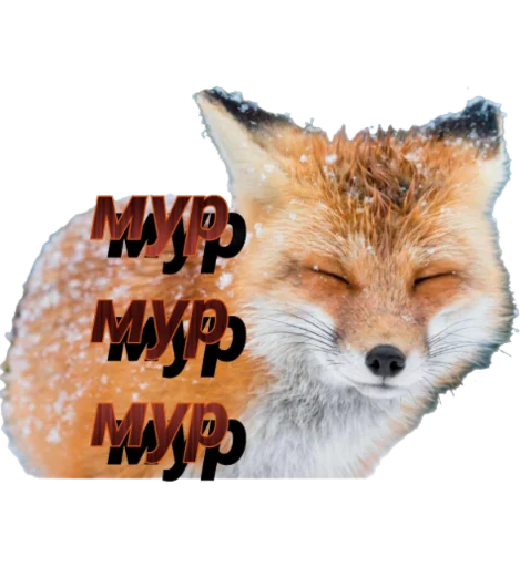 Стикер FoxikNRD - 1