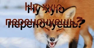 Стикер FOXIK_PACK - 11