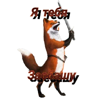 Стикер FOXIK_PACK - 3