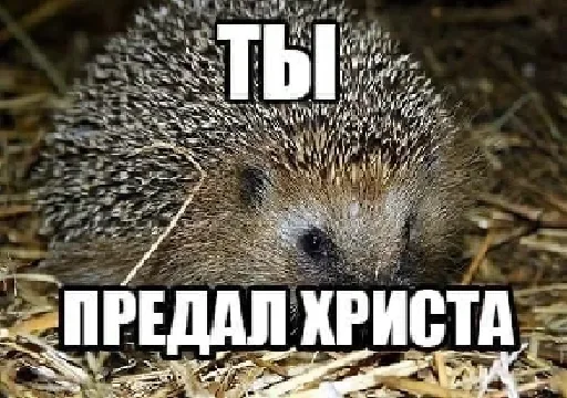 Стикер Maks Movvi - 6