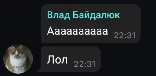 text screenshot font