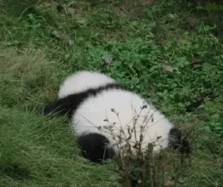 Стикер Больше стиков тут: @stikery4 - 7