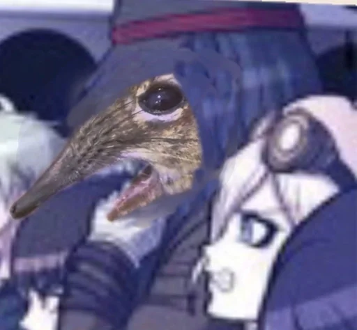 мультфильм СМС птица