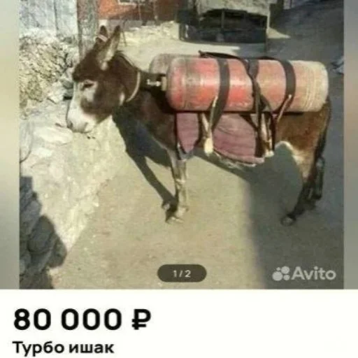 Sticker FreakyPacky - 1