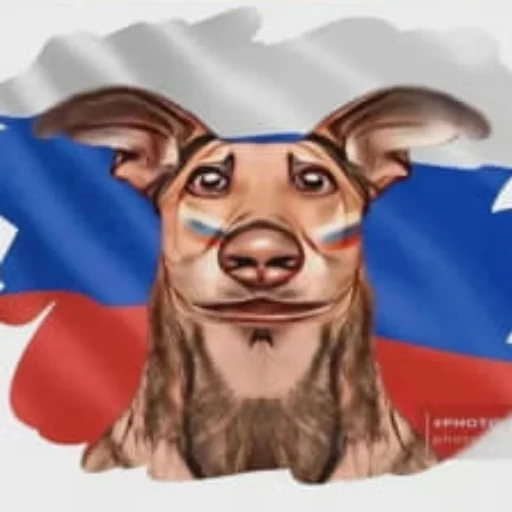 Sticker FreakyPacky - 1