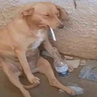 Sticker FreakyPack) - 3