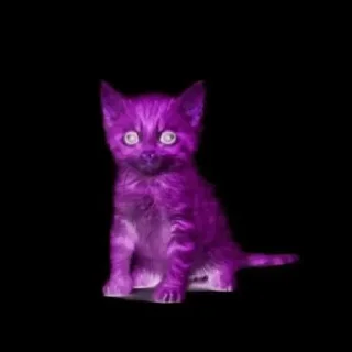 Sticker FreakyPack) - 11