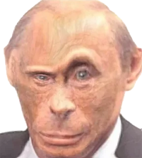 Sticker Sticker Pride @freedom_pride - 1