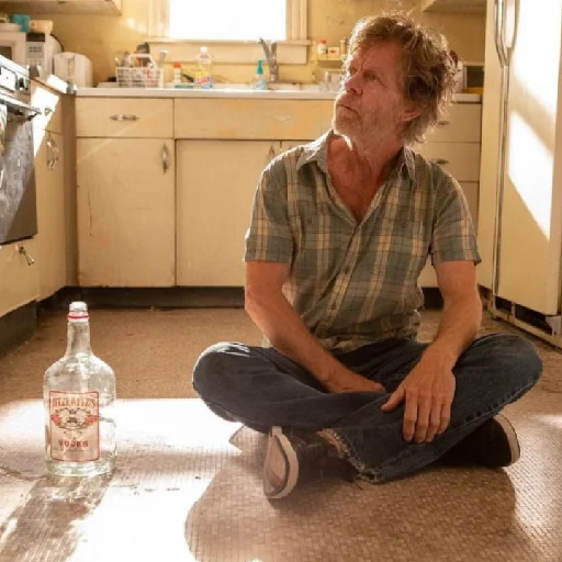 фрэнк галлагер - 