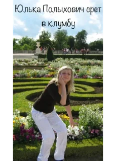 Sticker Frobisher - 9