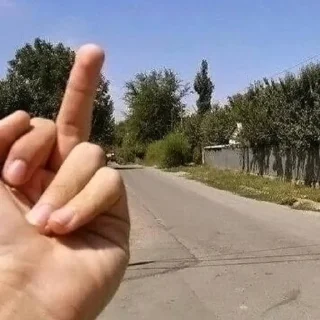 Стикер @Zolotova_Alisa - 0